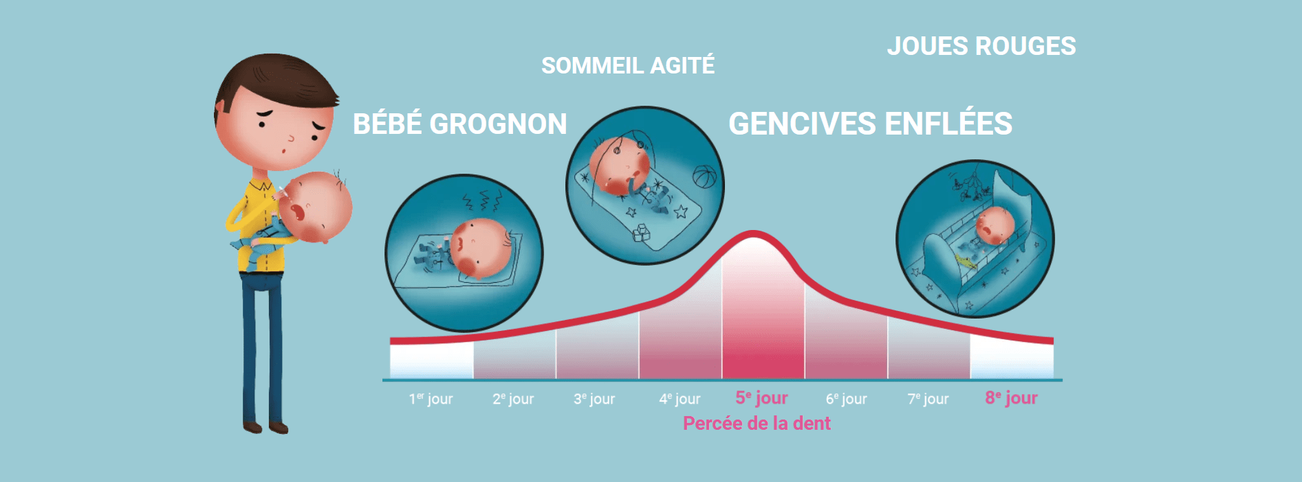 durée d'une poussée dentaire
