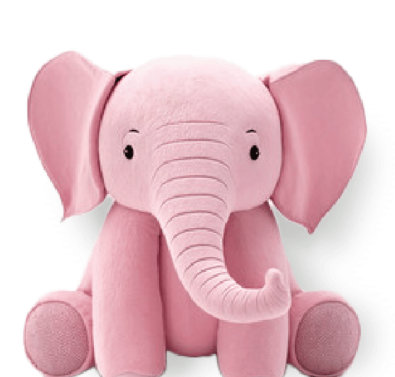 éléphant hygiène du nez