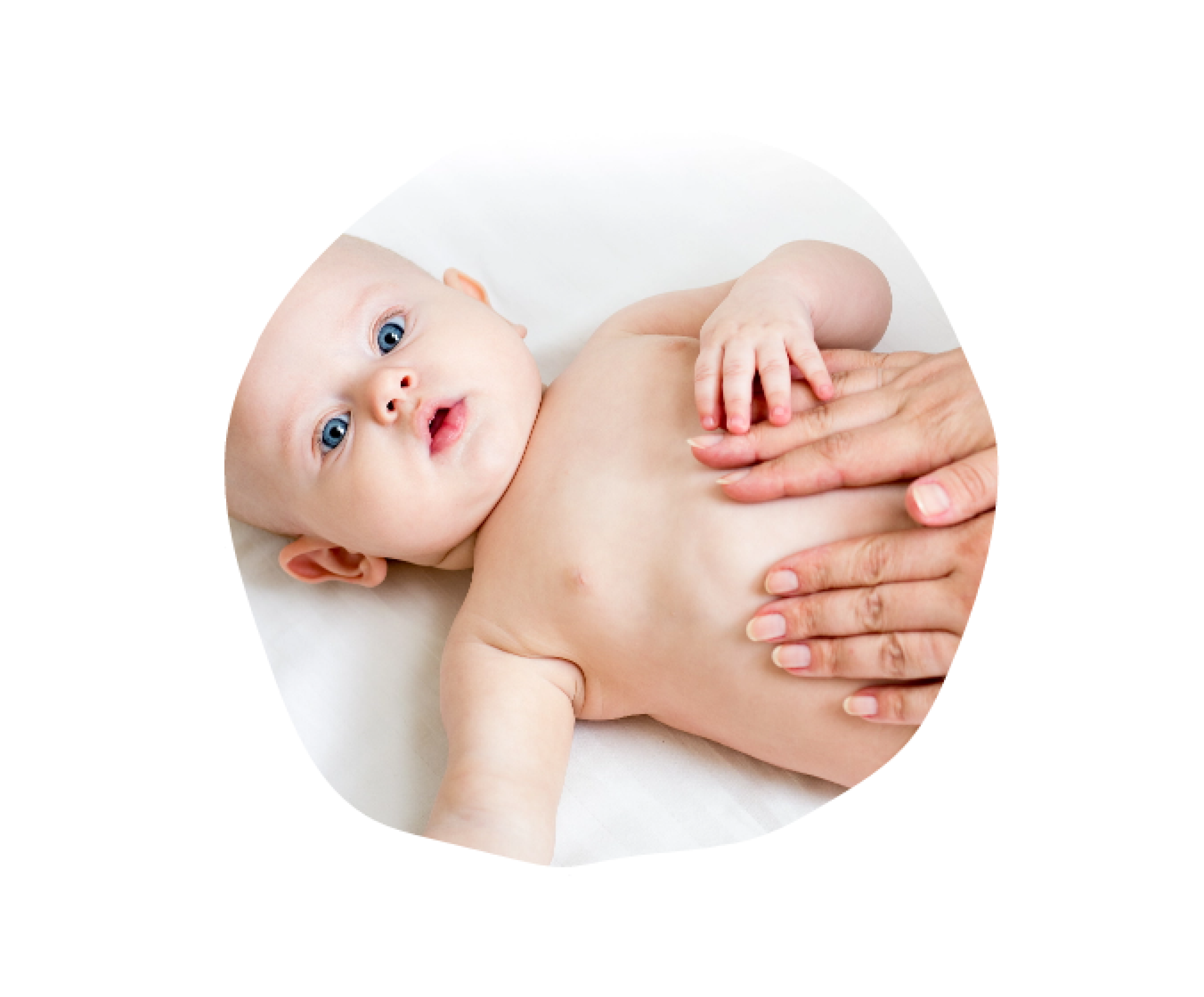comprendre le microbiote intestinal