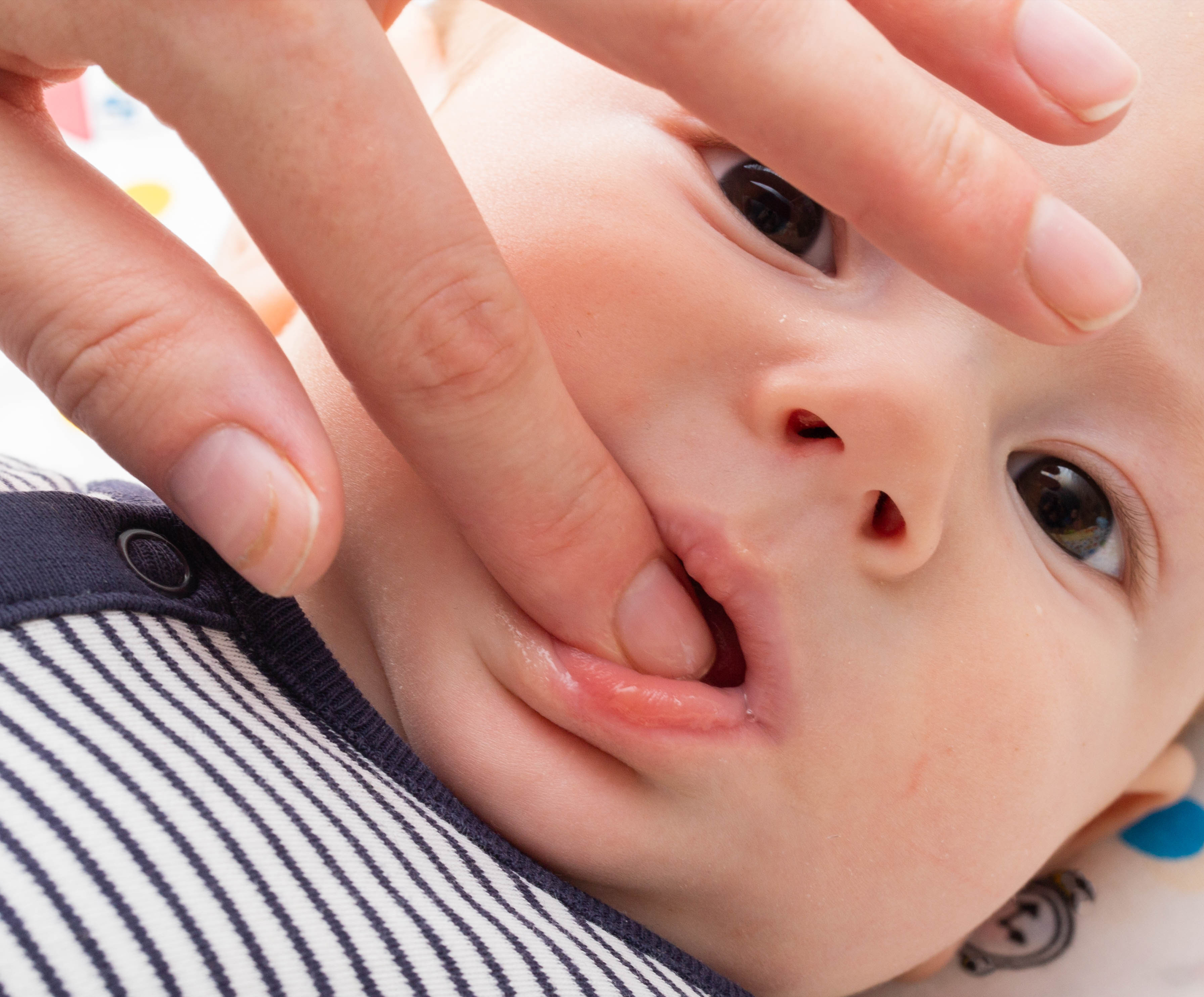 Dents bébé